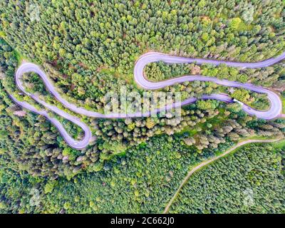 Vue d'en haut de la route sinueuse dans la forêt verte, voitures sur la route d'en haut Banque D'Images