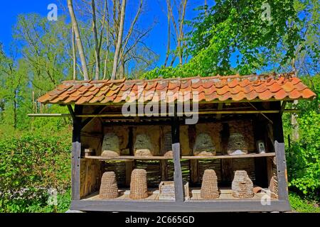 Allemagne, Rhénanie-du-Nord-Westphalie, Rahden, cour de musée, bâtiment Banque D'Images