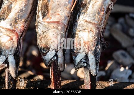 Steckerlfisch' (poisson grillé sur un bâton) à l'Oktoberfest, Munich, Bavière, Allemagne Banque D'Images