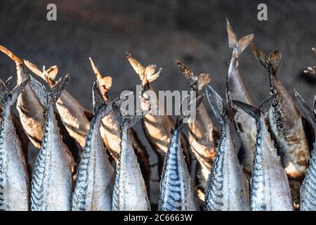 Steckerlfisch' (poisson grillé sur un bâton) à l'Oktoberfest, Munich, Bavière, Allemagne Banque D'Images