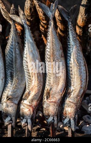 Steckerlfisch' (poisson grillé sur un bâton) à l'Oktoberfest, Munich, Bavière, Allemagne Banque D'Images