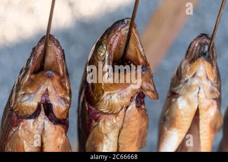 Steckerlfisch' (poisson grillé sur un bâton) à l'Oktoberfest, Munich, Bavière, Allemagne Banque D'Images