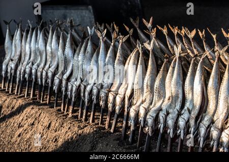 Steckerlfisch' (poisson grillé sur un bâton) à l'Oktoberfest, Munich, Bavière, Allemagne Banque D'Images