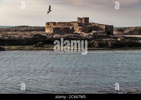 Ile de Mogador sur une île d'Essaouira dans l'océan Atlantique Banque D'Images