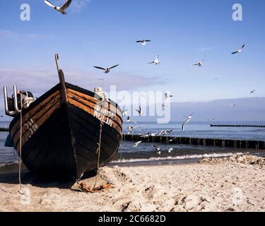 Des goélands encerclent un bateau de pêche sur la plage d'Usedom Banque D'Images