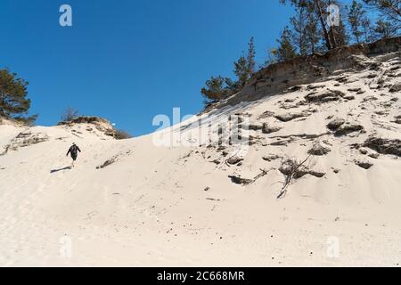 Pologne, parc national slovène, sentier de randonnée dans les dunes, Lesna Wydma, randonneurs Banque D'Images