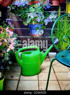 Plantes en pots colorées et un arrosoir sur le balcon de la maison en été Banque D'Images