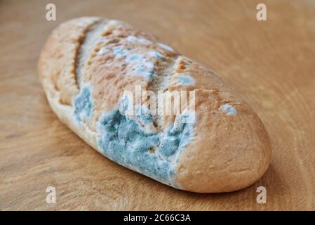 Pain gâté et moisi sur fond de bois. Entreposage inadéquat des aliments. Banque D'Images