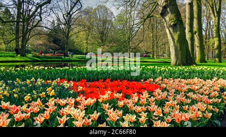 Jardin de Keukenhof, Lisse, Hollande-Méridionale Banque D'Images