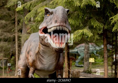 Tyrannosaurus Rex ou T-Rex est un genre carnivore de dinosaures thérosauriens de Coelurosaurian, Tyrannosaurus Rex ou T-Rex vivant au Crétacé, on Banque D'Images