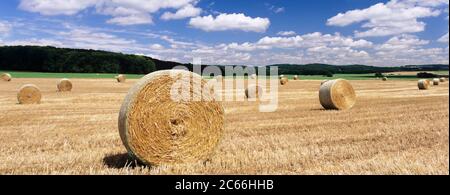 Balles de paille, Jura souabe, Bade-Wurtemberg, Allemagne Banque D'Images