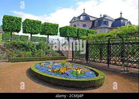 Vue sur le château rococo depuis les jardins baroques du château, le plus jeune des trois châteaux de Dornburg datant de diverses époques, situé sur le bord du plateau calcaire de la coquille au-dessus de la vallée de la Saale, en Thuringe Banque D'Images