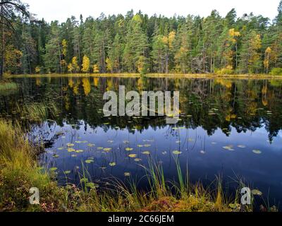 Europe, Suède, Smaland, Parc National Norra Kvill, lac de forêt tranquille, couleurs d'automne Banque D'Images