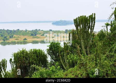 Lever du soleil sur le lac George en Ouganda. Le lac George ou le lac Dweru fait partie du réseau des Grands Lacs d'Afrique Banque D'Images
