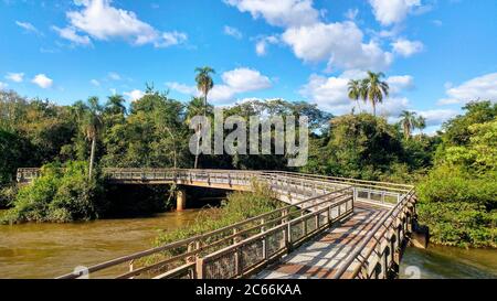 Promenade en traversant la rivière dans le parc national d'Iguaçu, en Argentine Banque D'Images