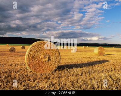 Balles de paille, été, Jura souabe, Bade-Wurtemberg, Allemagne Banque D'Images