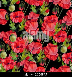Illustration aquarelle du motif sans couture des fleurs de Poppies Banque D'Images