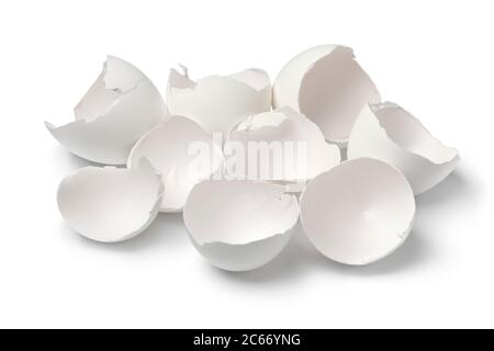 Les coquilles d'œufs blanches brisées se rapprochent sur fond blanc Banque D'Images