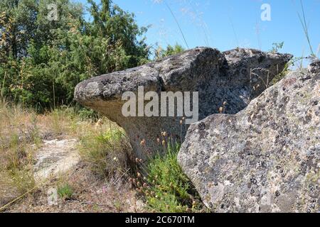 Roche en forme de champignon. Sentier des rochers de champignons (Ruta de las Piedras Seta), Madrid, Espagne. Banque D'Images