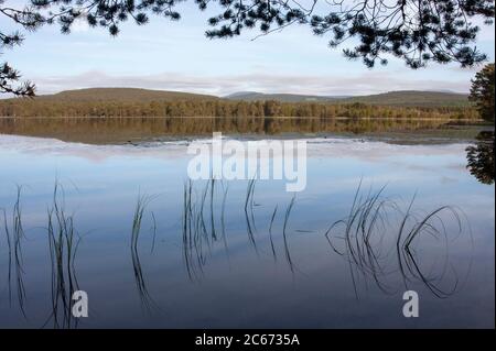 Eaux tranquilles du Loch Garten et paysage environnant de la forêt Abernethy. Speyside, Écosse, Royaume-Uni Banque D'Images