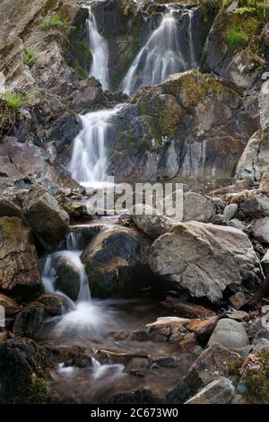 Les chutes d'eau inférieures à Tom Gill beck au printemps, près de Tarn Hows. Lake District, Cumbria, Angleterre, Royaume-Uni. Banque D'Images