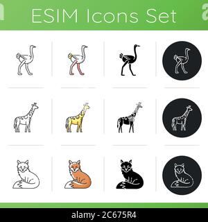 Icônes d'animaux communs et exotiques. Styles de couleur linéaire, noir et RVB. Girafe africaine, autruche et adorable renard. Zoo tropical habitants amd forts Illustration de Vecteur