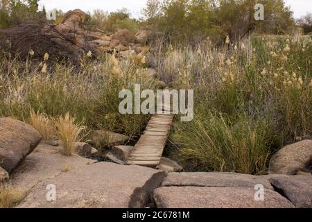 Un sentier en bois abîmé, traversant une petite zone humide sur un sentier de randonnée dans le parc national d'Augrabies, en Afrique du Sud Banque D'Images