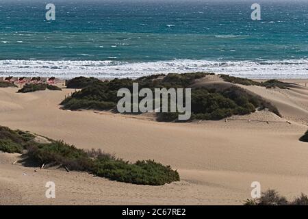 Dunas de Maspalomas, dunes de sable de Maspalomas, au sud de Gran Canaria - plage avec chaises longues et parasols en arrière-plan Banque D'Images