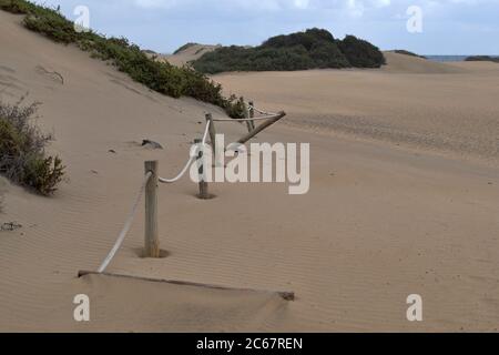 Dunas de Maspalomas - Gran Canaria - Espagne - les dunes dans la tempête - dune surcultivée - barrière de corde avec poteaux en bois Banque D'Images