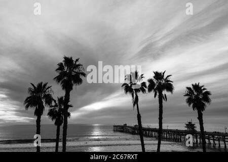 Silhouettes de palmiers contre San Clemente Pier, Californie, États-Unis Banque D'Images