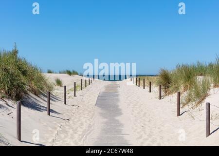 Chemin à travers les dunes jusqu'à la mer Baltique Banque D'Images