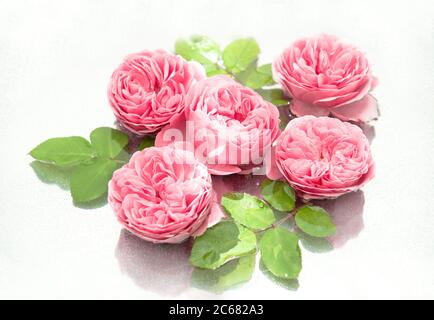 Roses roses fleurs avec des feuilles vertes flottant dans l'eau. Fond floral Banque D'Images