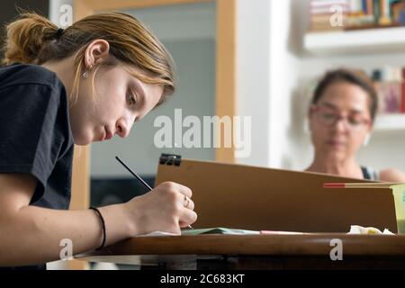 Une adolescente peint sur papier avec de l'acrylique tenant une brosse à peinture assise à la maison Banque D'Images