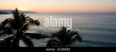 Palmiers près de la plage de Punta Negra au coucher du soleil, Puerto Vallarta, Jalisco, Mexique Banque D'Images