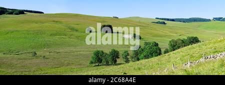 Paysage de champs, plateau d'Aubrac, Cantal, Auvergne région Rhône Alpes, France, Europe