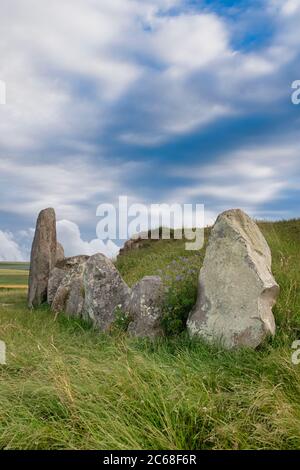 West Kennett long Barrow. Tombeau à chamberé néolithique. Avebury , Wiltshire, Angleterre Banque D'Images