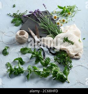 Herbes fraîches et vertes. Alimentation saine. Banque D'Images