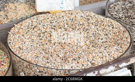 Nourriture pour oiseaux mélangée dans une boîte ouverte ronde. Marché des animaux. Gros plan. Banque D'Images