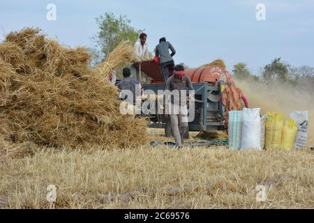 TIKAMGARH, MADHYA PRADESH, INDE - 24 MARS 2020 : agriculteurs indiens séparant les grains de blé et de huche du blé haché à l'aide d'une machine de battage. Banque D'Images