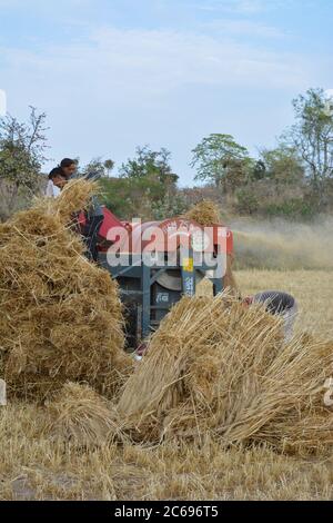 TIKAMGARH, MADHYA PRADESH, INDE - 24 MARS 2020 : agriculteurs indiens séparant les grains de blé et de huche du blé haché à l'aide d'une machine de battage. Banque D'Images