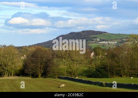 Colline (crête), arbres boisés à flanc de colline, champs de terres agricoles, moutons et ciel bleu - vue panoramique sur Otley Chevin, Wharfedale, Angleterre Banque D'Images