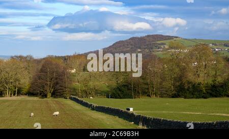 Colline (crête), arbres boisés à flanc de colline, champs de terres agricoles, moutons et ciel bleu - vue panoramique sur Otley Chevin, Wharfedale, Angleterre Banque D'Images