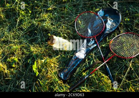 Raquettes de badminton avec bouteille d'eau sur une herbe Banque D'Images