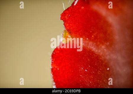 Photo macro ultra-récente d'une fraise australienne Banque D'Images