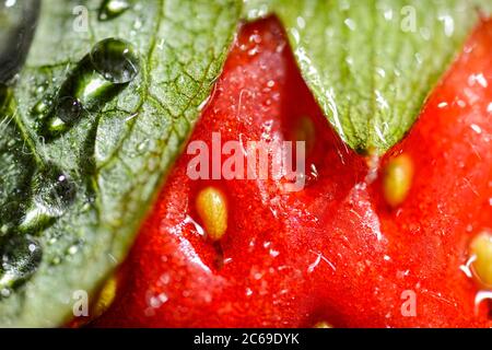 Photo macro ultra-récente d'une fraise australienne Banque D'Images