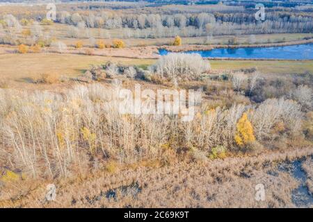 Paysage sec d'automne, vue aérienne du champ et de la forêt, paysage artistique. Vue aérienne depuis le dessus du champ en automne. Texture du champ en automne Banque D'Images