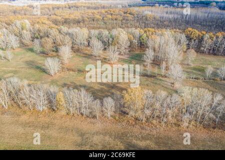 Paysage sec d'automne, vue aérienne du champ et de la forêt, paysage artistique. Vue aérienne depuis le dessus du champ en automne. Texture du champ en automne Banque D'Images