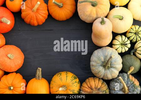 Cadre en citrouilles et en cendres colorées. L'automne fond de nourriture Banque D'Images