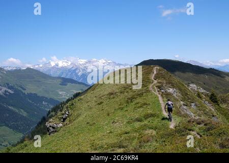 Motard de montagne sur la crête de Glaser ; Glaspass, parc naturel Beverin, canton des Grisons, Suisse. Banque D'Images