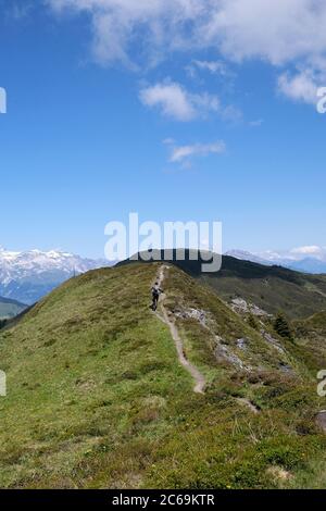 Motard de montagne sur la crête de Glaser ; Glaspass, parc naturel Beverin, canton des Grisons, Suisse. Banque D'Images